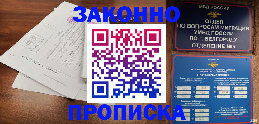 прописка в Вельске